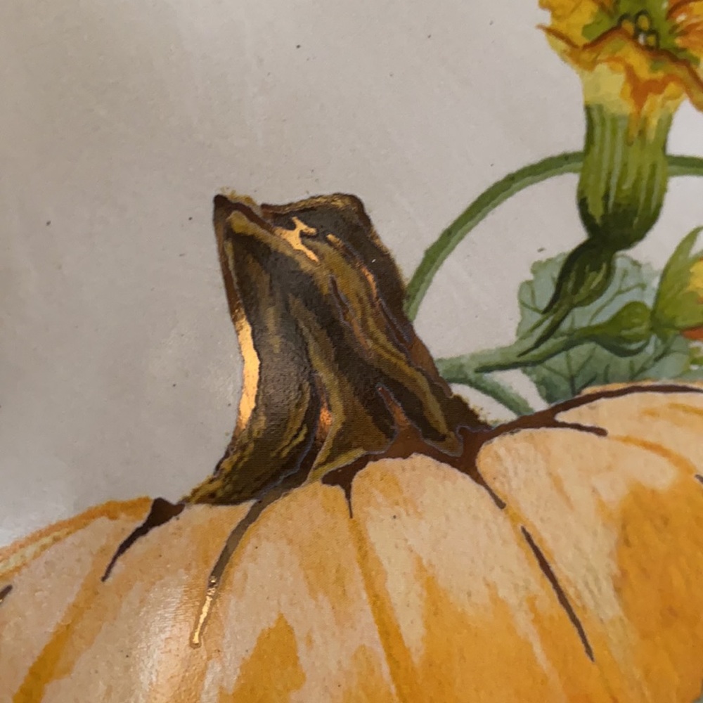 Pottery Barn Botanical Harvest Pumpkin Stoneware Dinner Plates - Set Of 4 - Picture 12 of 16